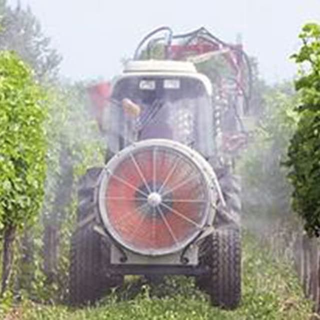 CO.M.AG. - Immagine 2