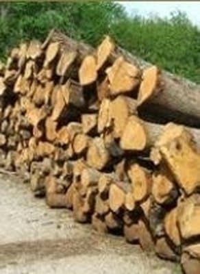 Conte Legnami - Immagine 2