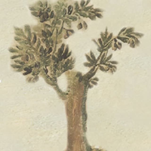 Cooperativa Agricola San Felice La Verita' - Immagine 1