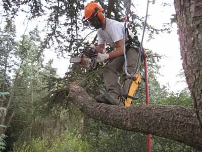 Cooperativa Monte Cetona - Immagine 1