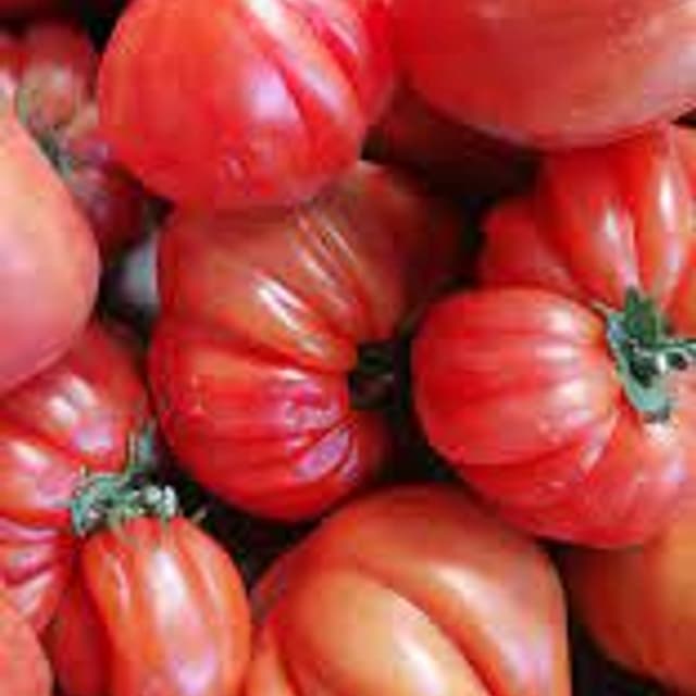 Cooperativa Ortoflorofrutticola Andorese - Immagine 2