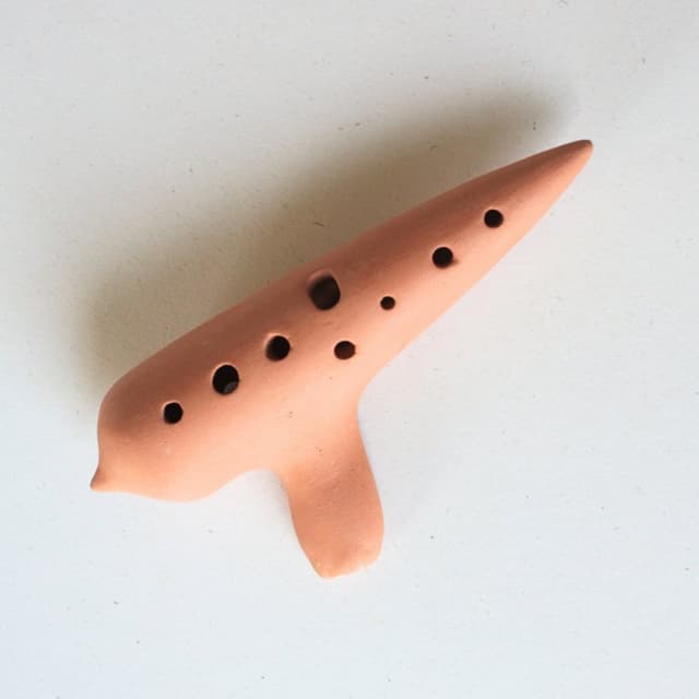 Cooperativa Sociale Arcobaleno S.c.a.r.l. - Immagine 2