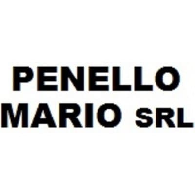 Coppe e Trofei Penello Mario - Immagine 2