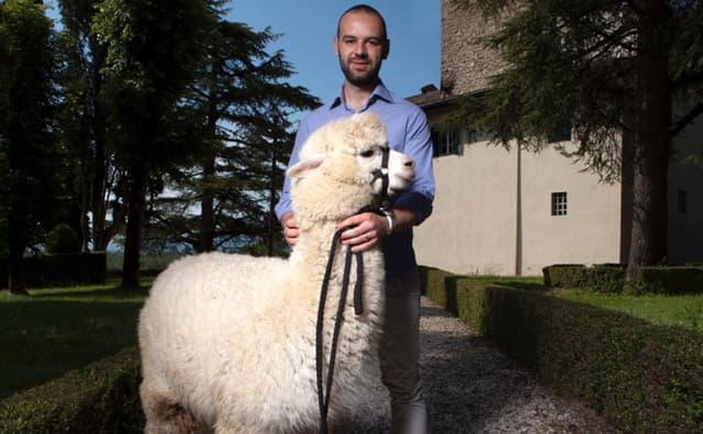 Coyà Andrea Comanducci - Immagine 1