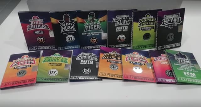 Cultura Indoor - Immagine 2