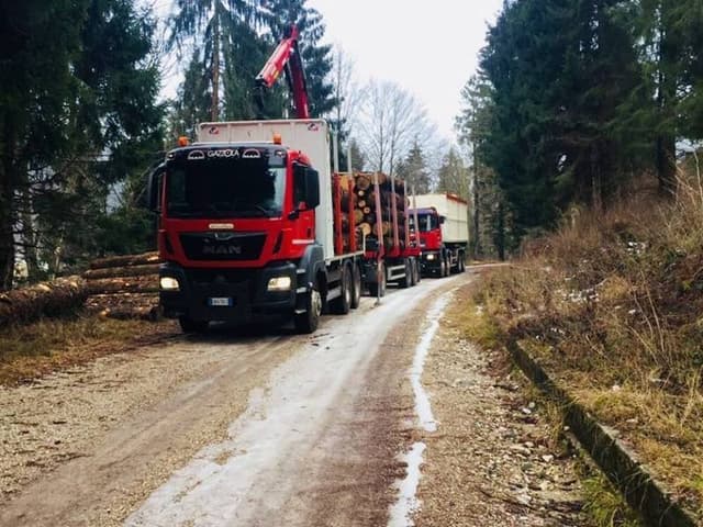 Dal Farra Flavio - Immagine 2