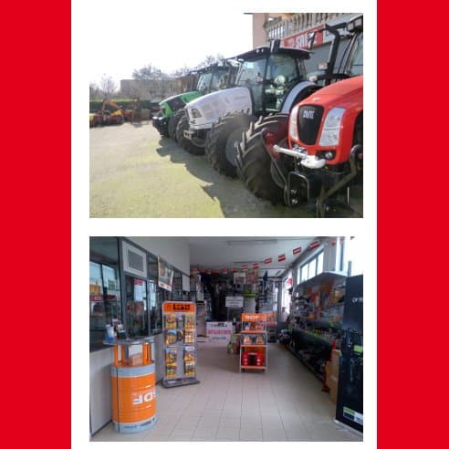 Dal Toso Adriano - Immagine 2