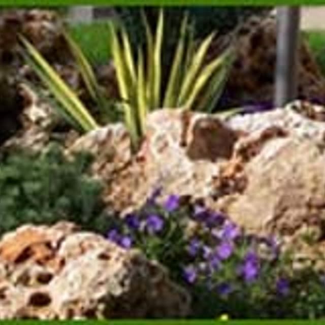 Dalla Pianta & Rossi - Immagine 2