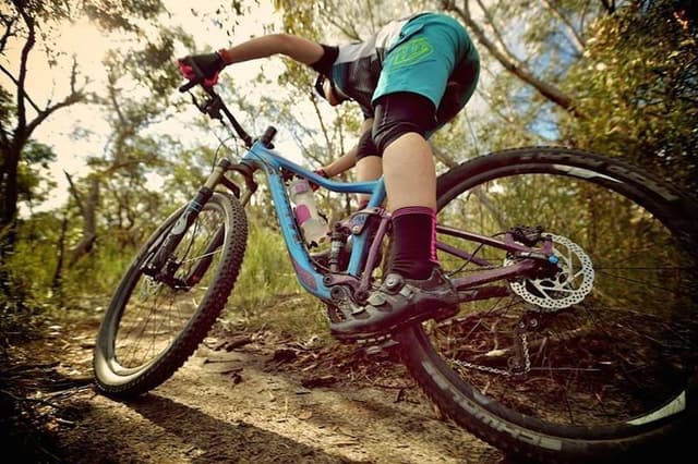 Dallago Sport - Immagine 1