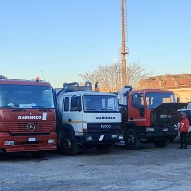 D'Arienzo - Immagine 2