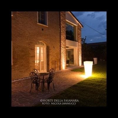 Dattero Luce - Immagine 1