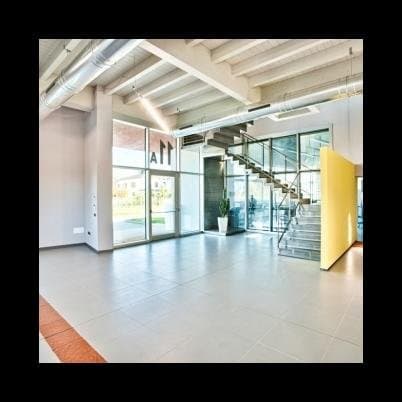 Dattero Luce - Immagine 2