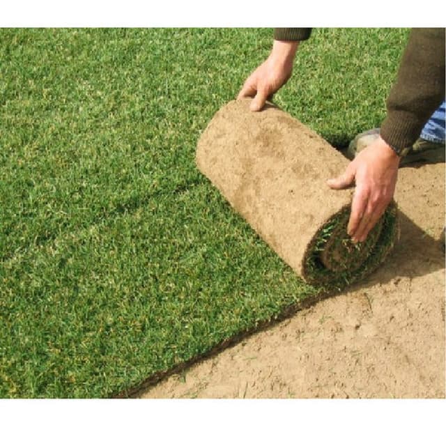 Dg Potature - Immagine 1