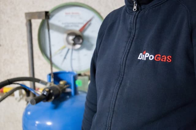 Dipogas - Immagine 2