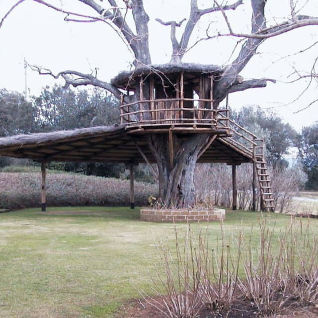 Ditta Borla - Immagine 2