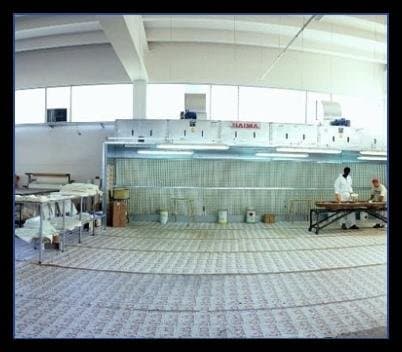 Dolphin Plast - Immagine 1