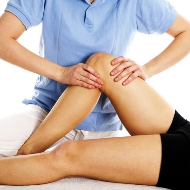 Domus Medica - Immagine 1