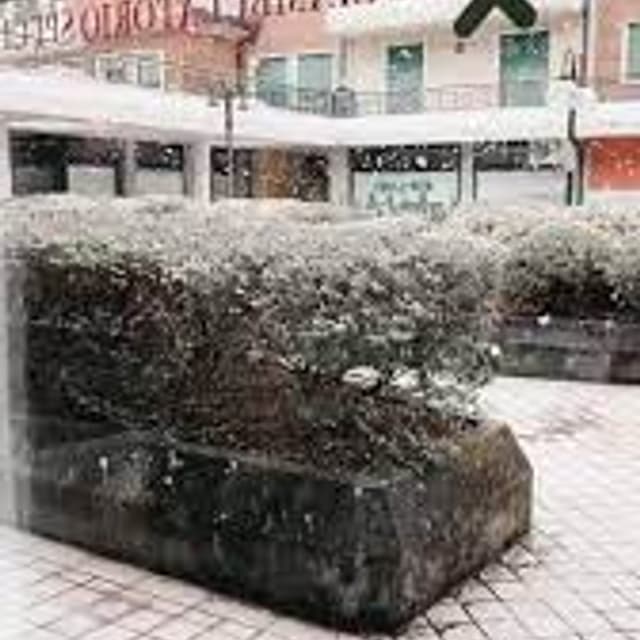 Donna Più Poliambulatorio specialistico - Immagine 1