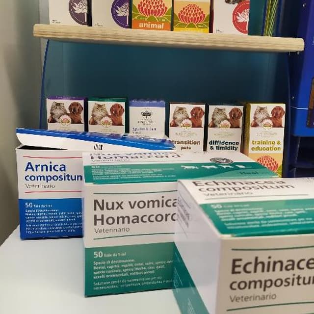 Dott. Amendola Biagio - Immagine 2