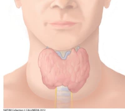 Dr. Cosimo F. Francone - Immagine 2