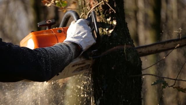 Ecoenergy - Immagine 2