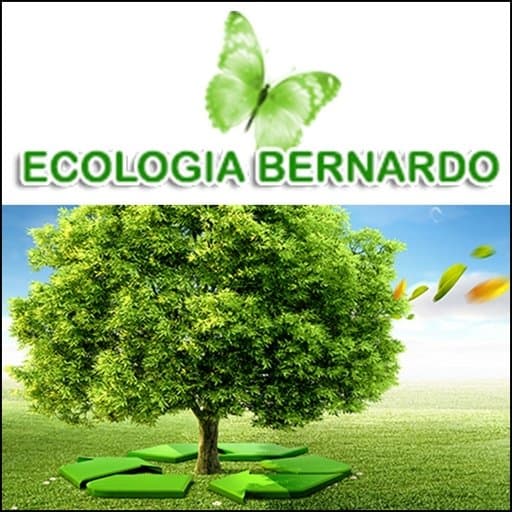 Ecologia Bernardo - Immagine 2