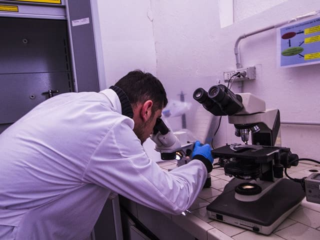 Ekosistems - Immagine 1