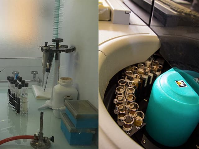 Ekosistems - Immagine 2