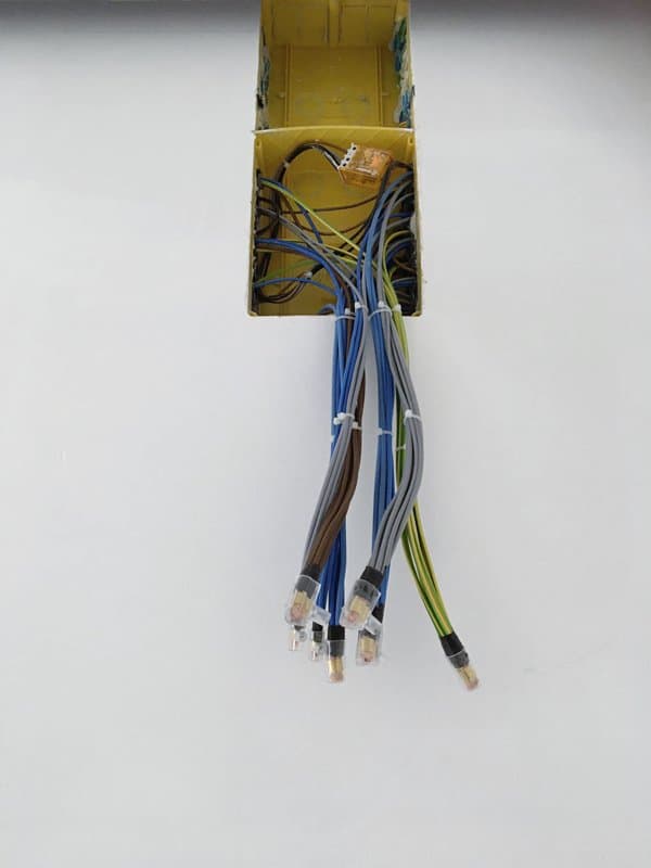 Elektro Carbonara - Immagine 1