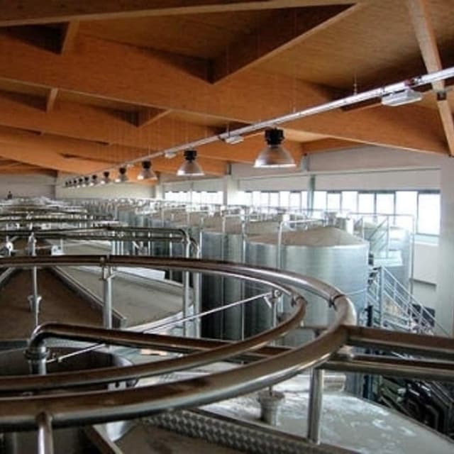 Elettrovaldichiana - Immagine 1