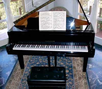 Emiliani Pianoforti - Immagine 2