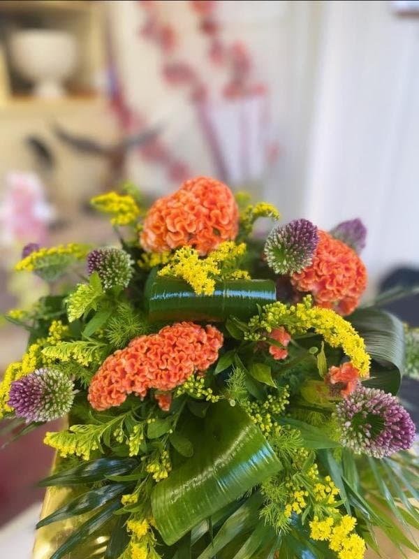 Emporio 7 - Immagine 2