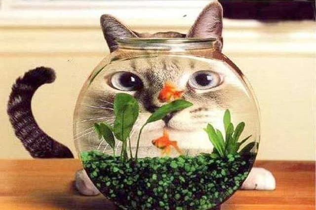 Emporio Sigurtà - Immagine 2