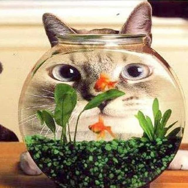 Emporio Sigurtà - Immagine 1