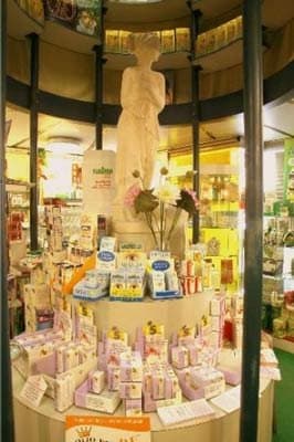 Erboristeria Ginseng House - Immagine 1