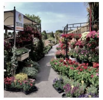 Erika Vivai Mancinelli - Immagine 2