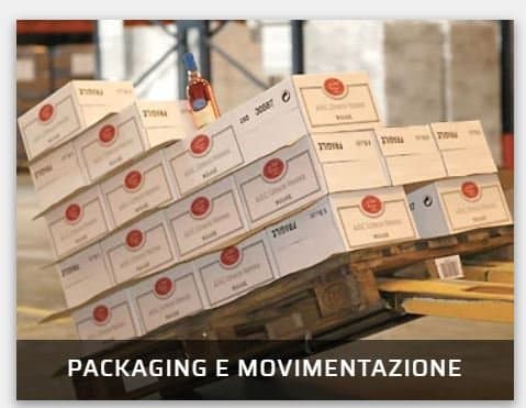 Euromps - Immagine 2