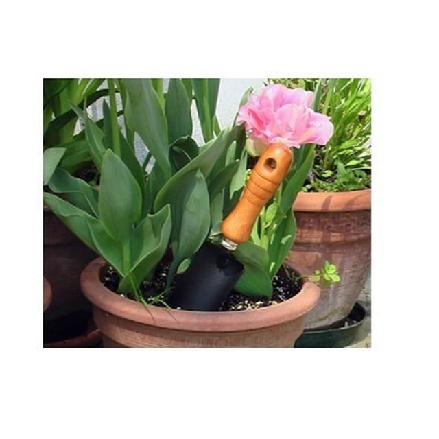 Evergreen Garden Center - Immagine 2