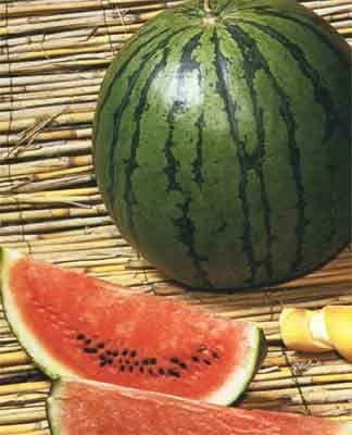 Falorni Ortoflorovivaistica - Immagine 2