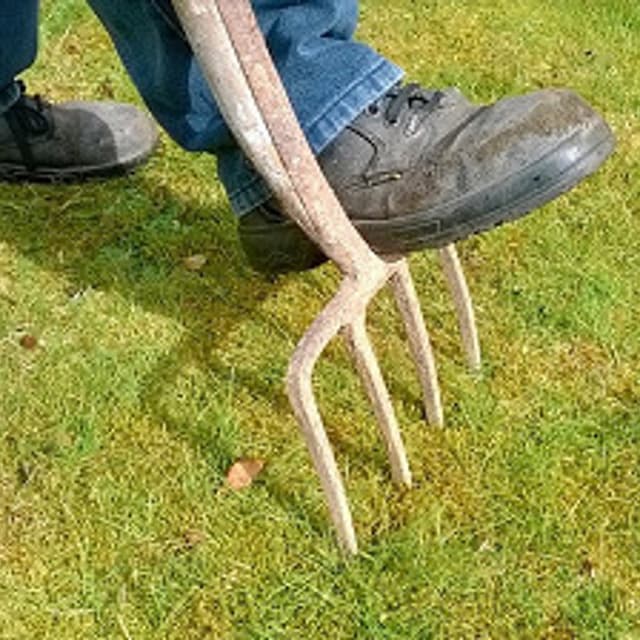 Faraone Rocco - Immagine 1