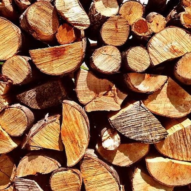 Faraone Rocco - Immagine 2