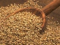 Farisesa - Immagine 1