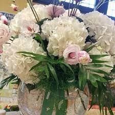 Fascino Verde - Immagine 2