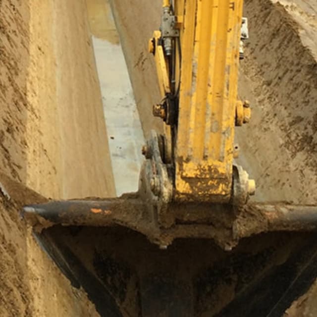 Felter Lino - Immagine 2