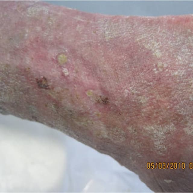 Ferrara Prof. Filippo - Immagine 2