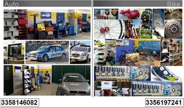 Fg Bike - Immagine 2