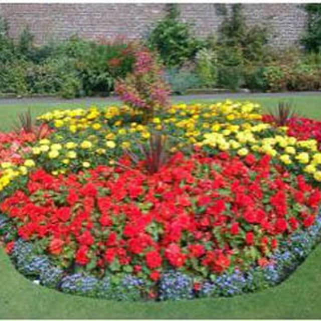 F.G. Manutenzione Giardini - Immagine 2