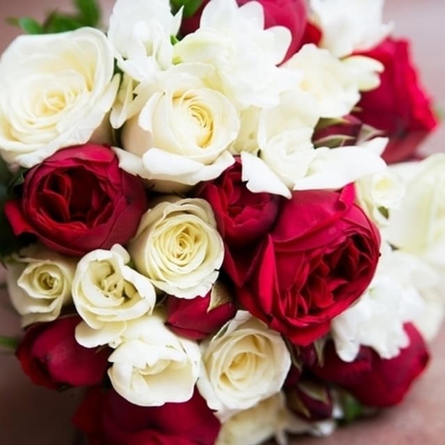 Fioraio Ceroni - Immagine 2