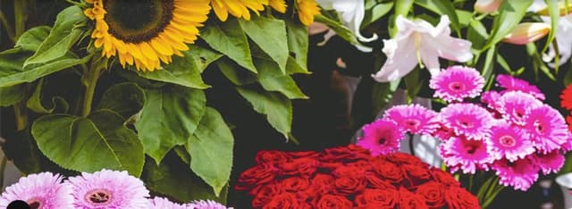 Fioreria Chalet dei Fiori - Immagine 1