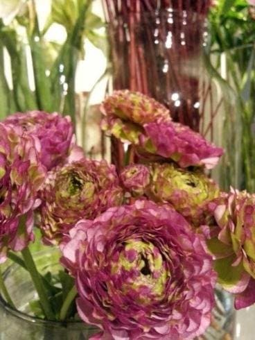 Fioreria Tulipa - Immagine 2